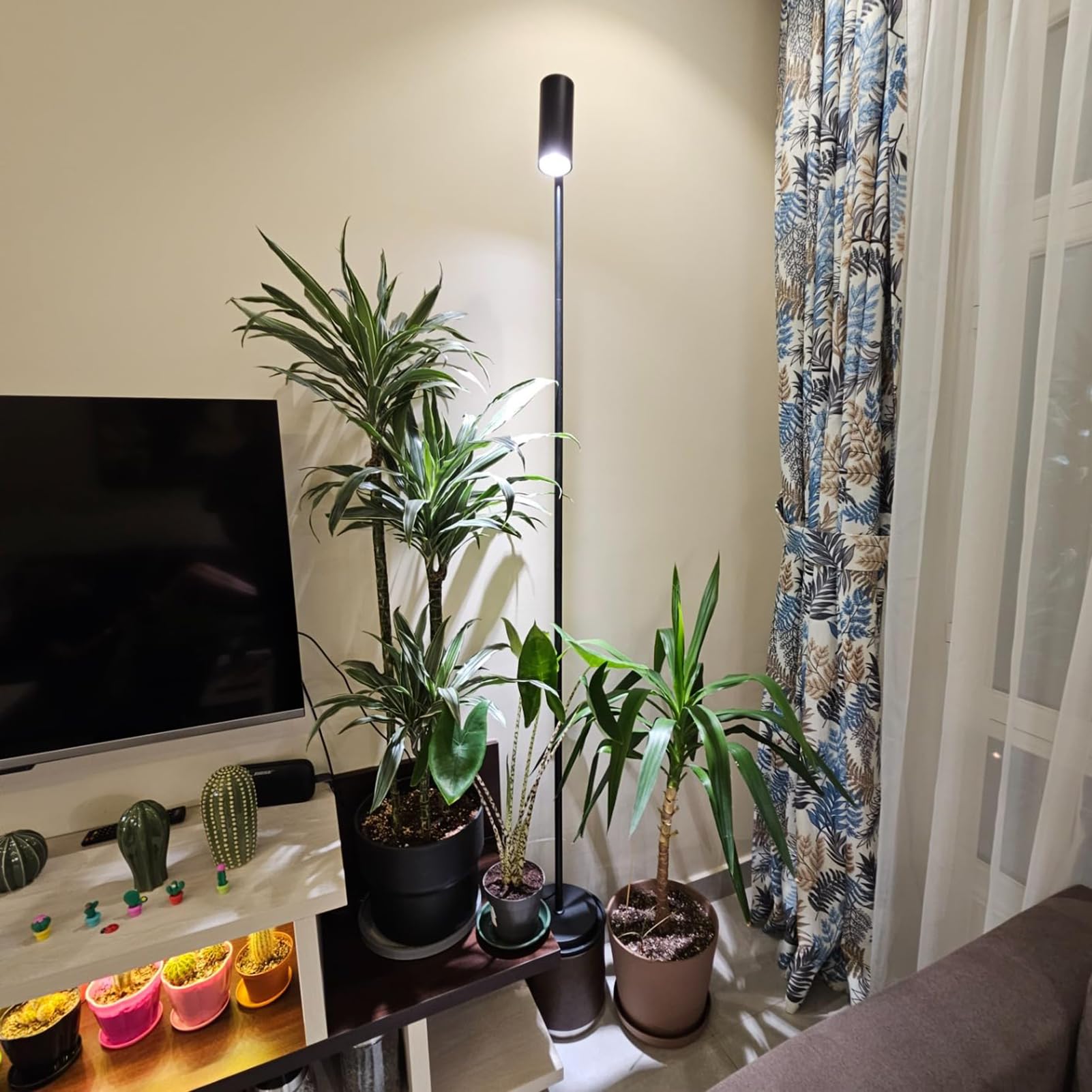 Rayofly Pflanzenlampe LED Vollspektrum, 20W Pflanzenlicht für Zimmerpflanzen, Höhenverstellbare Wachstumslampe mit Zeitschaltuhr 4/8/12H und COB Pflanzen-Glühbirne, Stand Grow Light für Große Pflanze