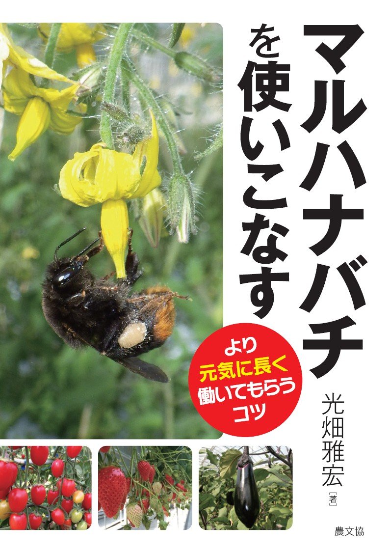 no.103 マルハナバチとヘラジカのInfinity