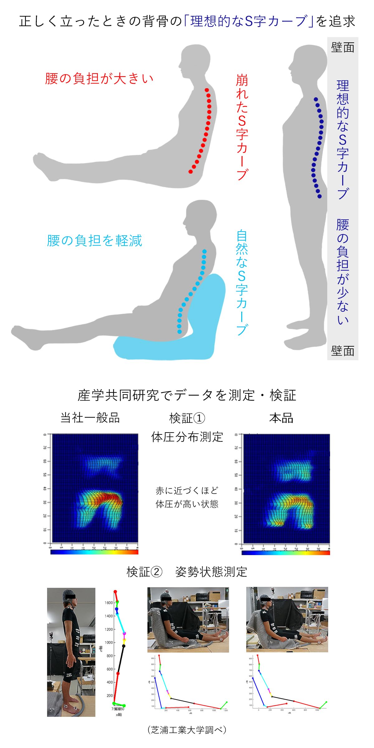 Amazon｜[座椅子専科] 産学連携 背中を支える美姿勢座椅子5 (ブルー