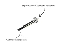 Vista 3 de Martillo de reflejos neurológicos Tromner de la serie Platinum de EMI, Deluxe