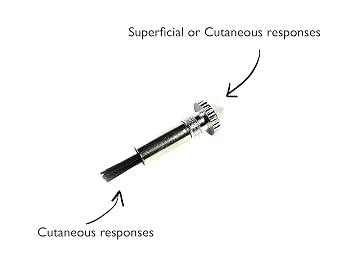 EMI Platinum Series Tromner Neurological Deluxe Reflex Hammer