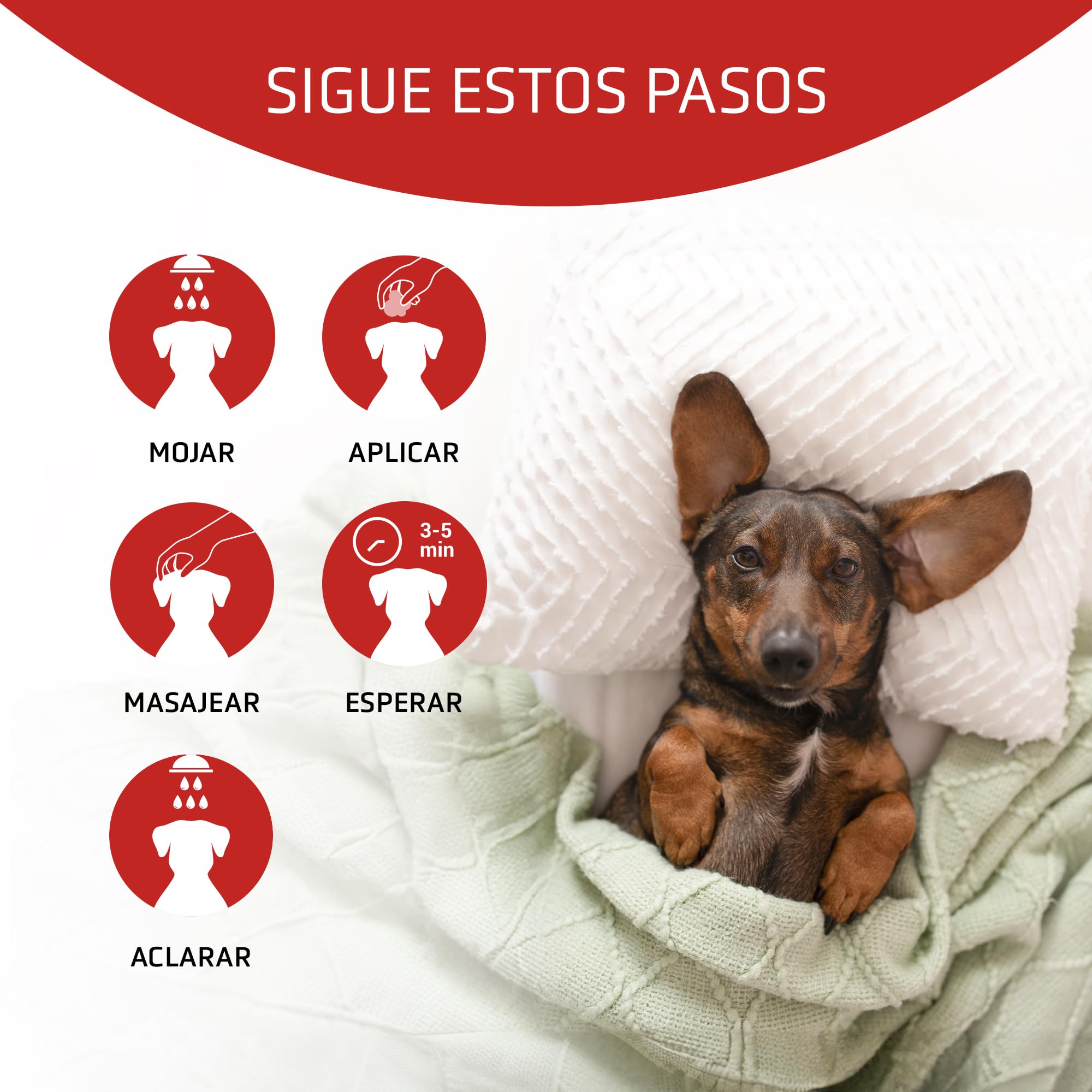 Pack Caniche Rojo. Champú 650 ml y Mascarilla 650 ml