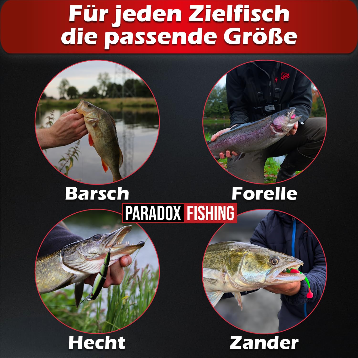 Paradox Fishing Zestaw zatrzasków I 175 sztuk #000-#2 z pudełkiem, akcesoria wędkarskie, pstrągi, karabińczyki, przynęty na pstrągi, karabińczyki – do przynęt na pstrągi, szczupaki i okonie