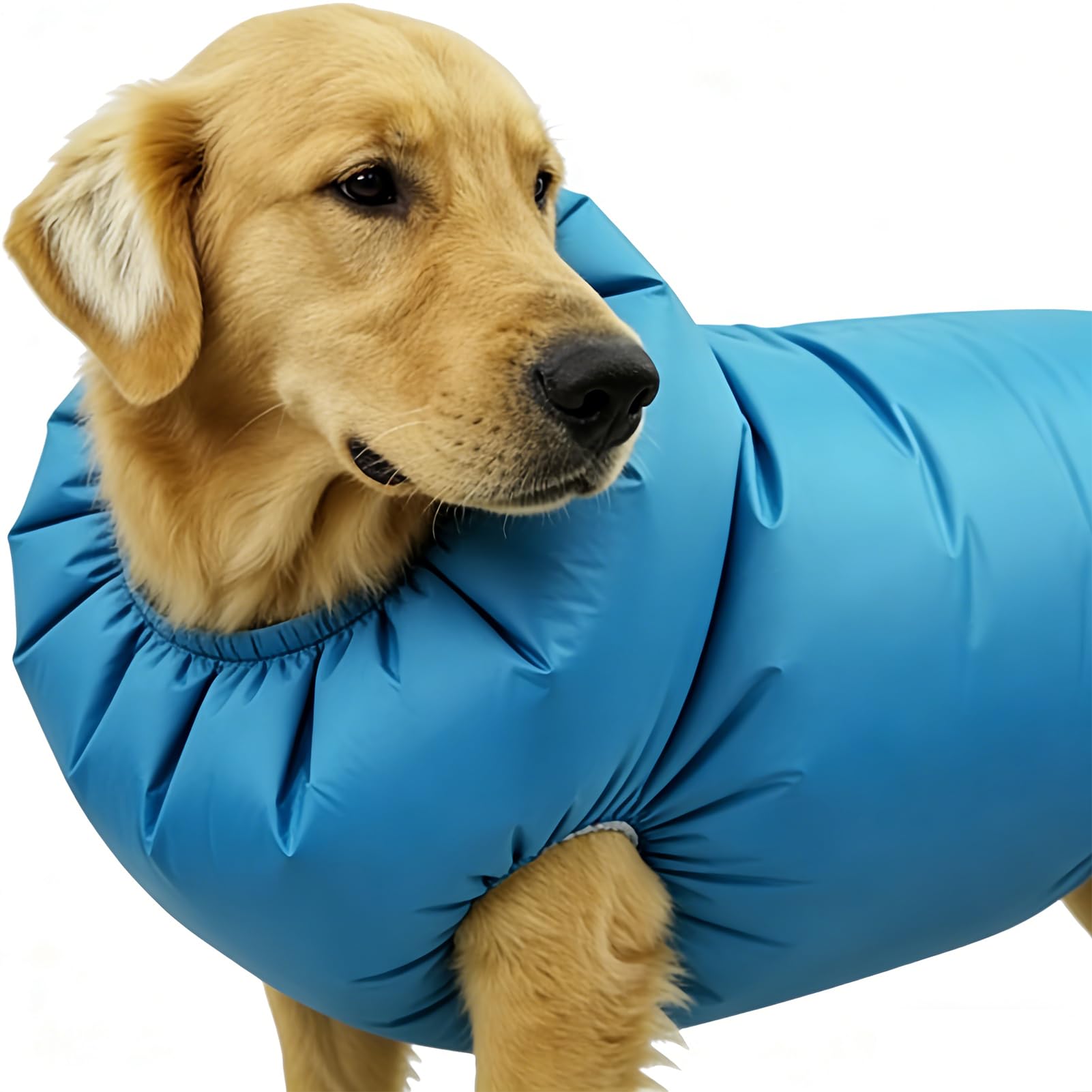 De Secado Para Perros,Saco para Aseo con Circulación de Aire y Soplador destinado a Mascotas | Secadora para Perros | para Hogar Ducha Viaje Veterinaria Interior Apartamento