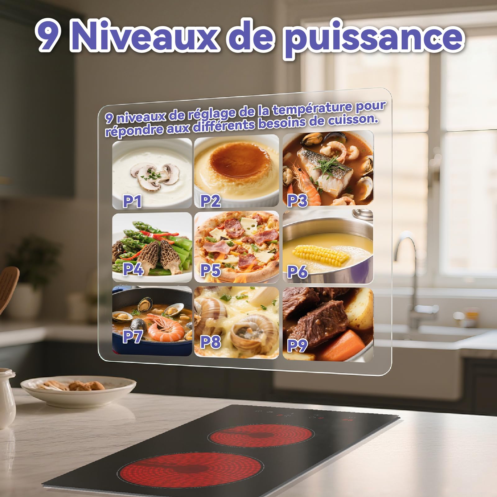 Plaque Vitrocéramique 2 Feux Encastrable 52x29cm 3000W Contrôle Tactile 9 Niveaux de Puissance Minuterie 99min Verrouillage Enfant