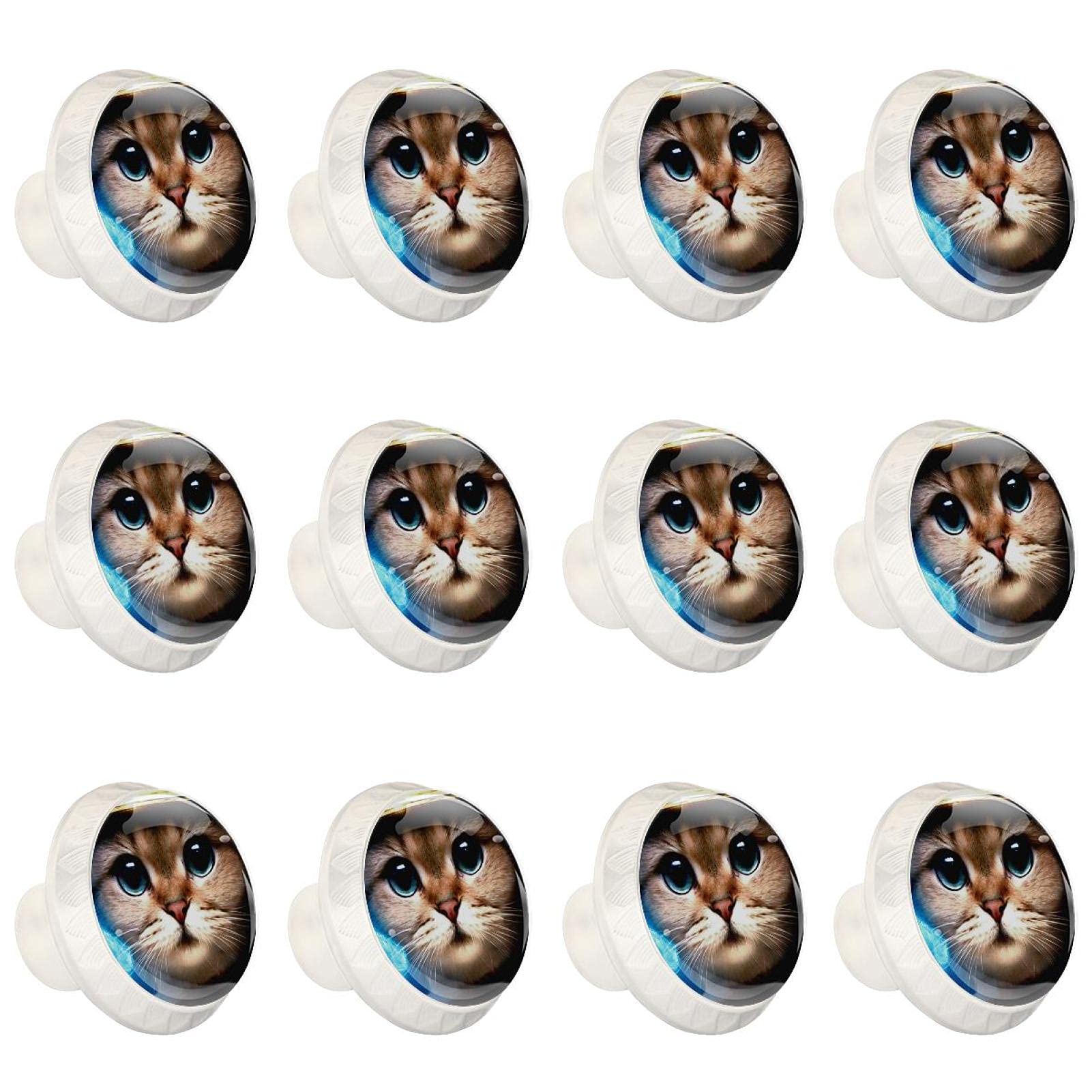 Boutons de cuisine au design Galaxy Cat élégants boutons ronds pour commode chic