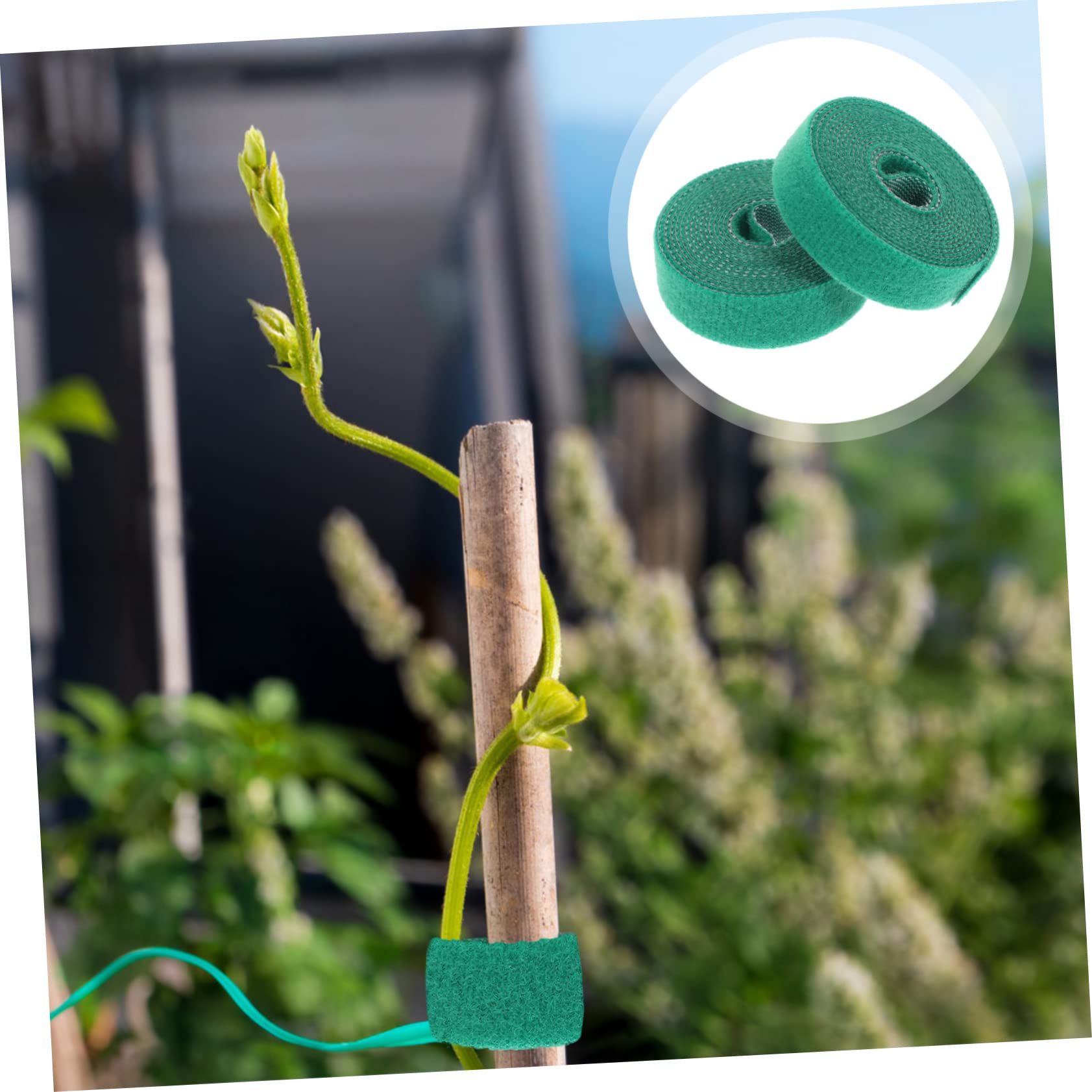 DOITOOL 4 Pz Nastro per Piante da Giardino Greengro Nastro di Rami di Fiori Tirante di Sostegno della Vite Cravatte di Fiori di Vite Vegetali Pianta di Gomma Nylon Elastico Piantina
