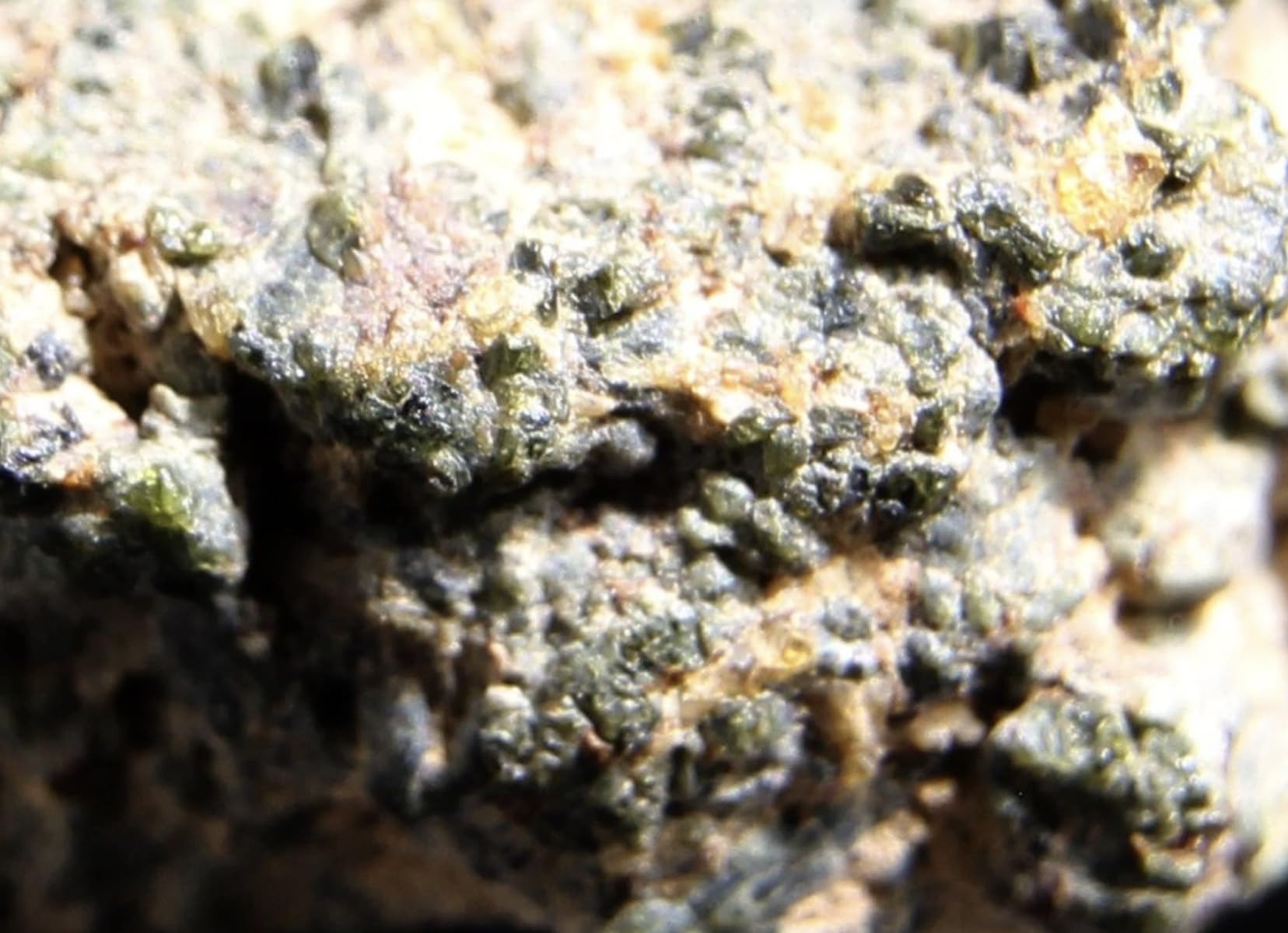 Frammento di meteorite marziano con certificato - Autentico meteorite di Marte Hassi Messaoud (0,2-0,3 g) - Raro esemplare di roccia di Marte per collezionisti, astronomia e regalo spaziale