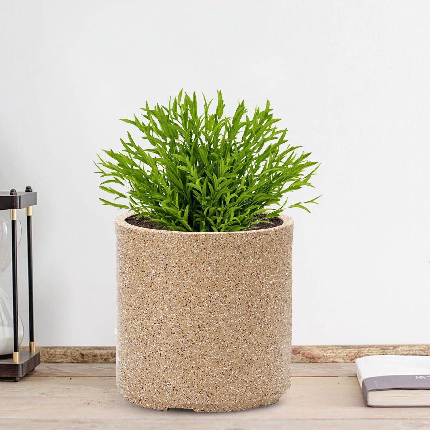 GTB Cylinder German Polymer Pots for Plants Highly Durable Polymers Lightweight Indoor Outdoor Plant Pots, Flower Pot Gamla Tree Planter Container Planters(Plant not Included) (Sandstone, 10 inch) (B0DFMRQN4N) Amazon Price History, Amazon Price Tracker