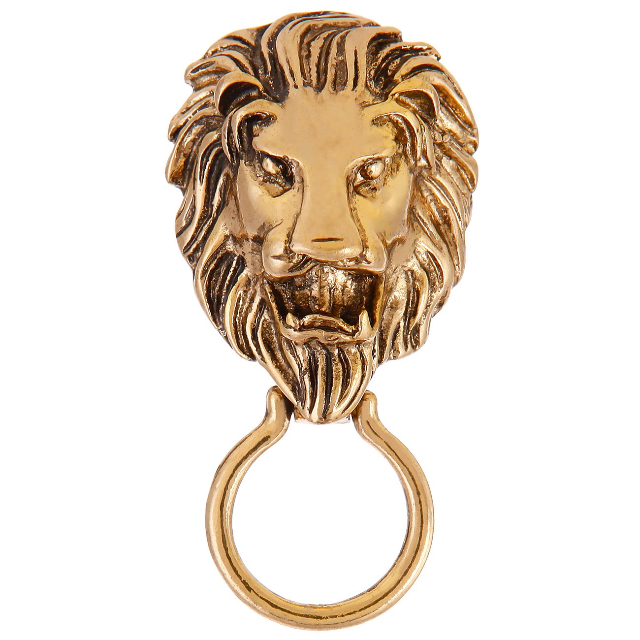 CHUANGYUN Vintage Lion Biker Animal Brooch Magnetic Eyeglass Holder (Gold)