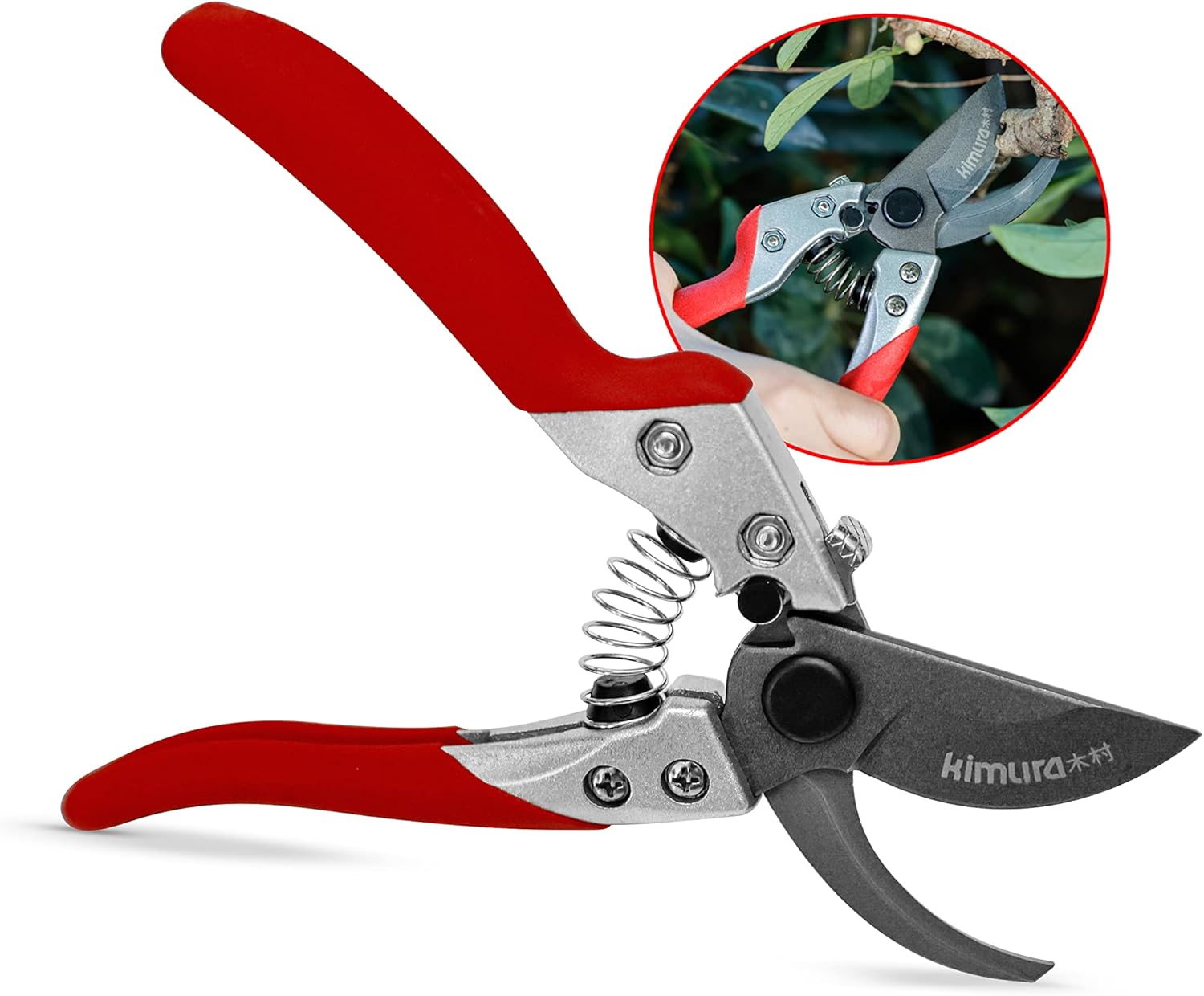 Buy Kimura 8” Pro Garden Secateurs, Razor Sharp Japanese SK5 Blade, Non