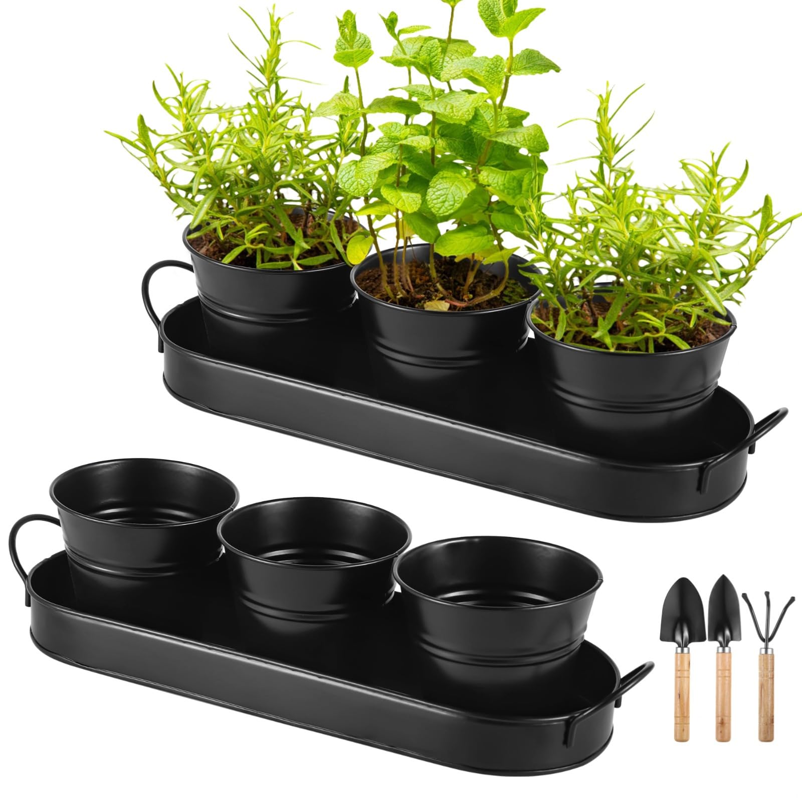 2 set di erbe aromatiche in metallo con vassoi e strumenti per piante grasse, vasi neri per giardini e davanzali
