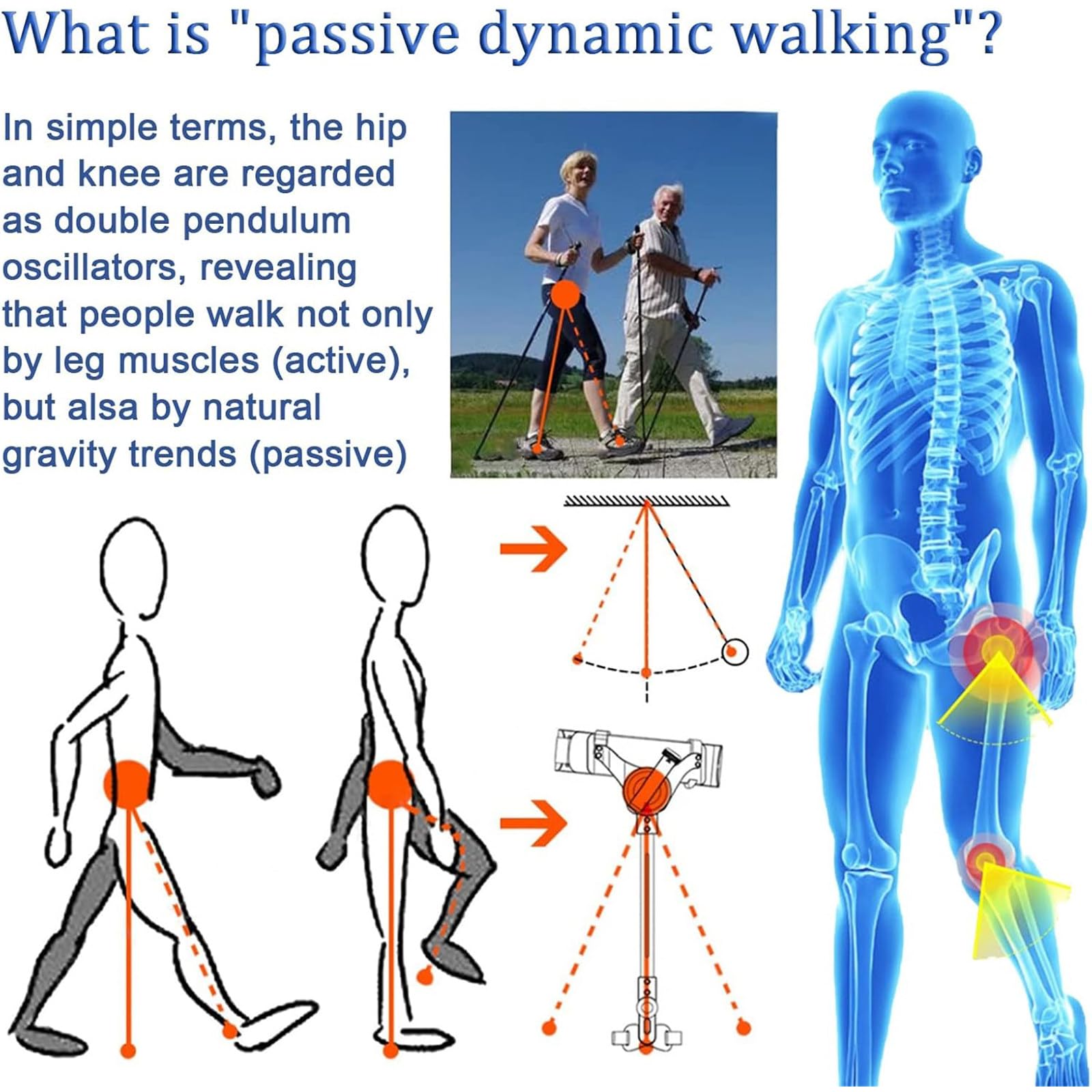 Hemiplejia Bionic Body Power - Ayuda para Caminar - Entrenador De Rehabilitación De Extremidades Inferiores para Adultos Y Ancianos - Ayuda De Movilidad bothlegs-L