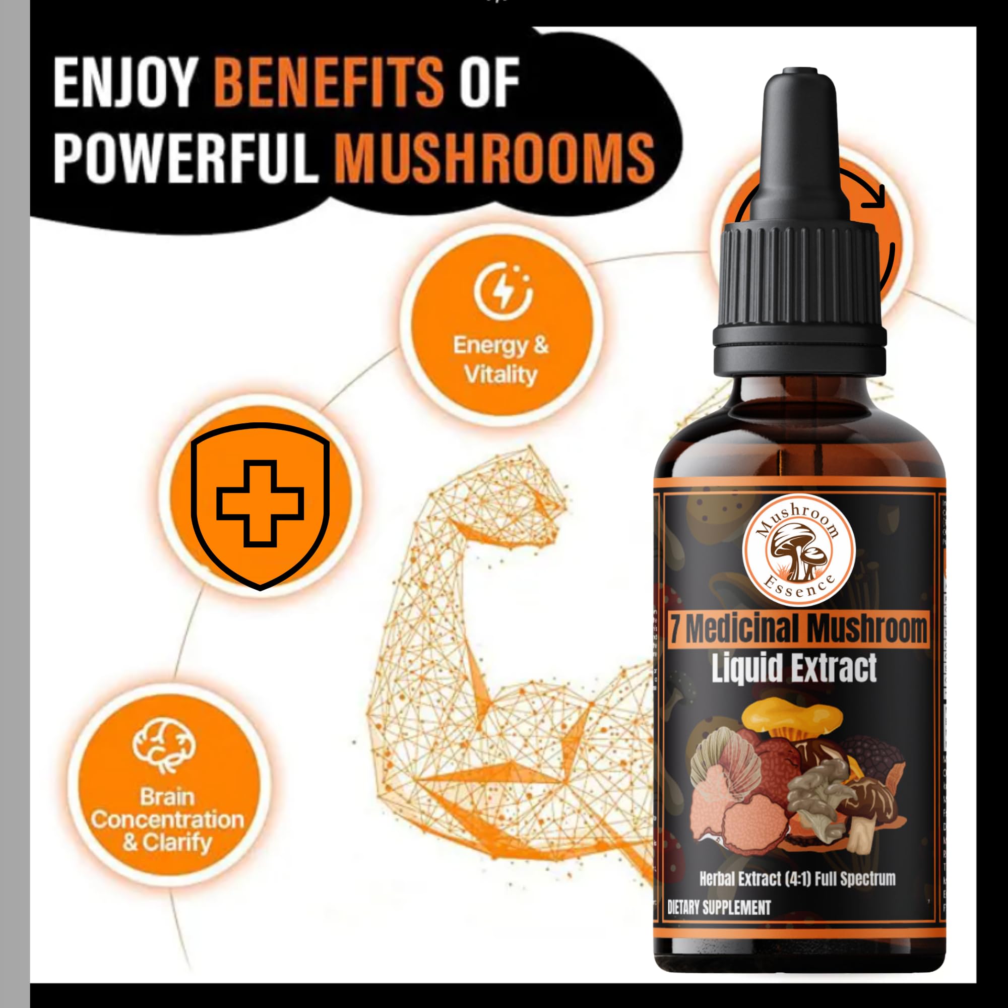 7-Mushroom Liquid Extract – Cordyceps Militaris, Chaga, Turkey Tail, Lion’s Mane, Reishi (Ganoderma), Shiitake & Oyster – 30ml (pack fo1) — Amazon image 3
