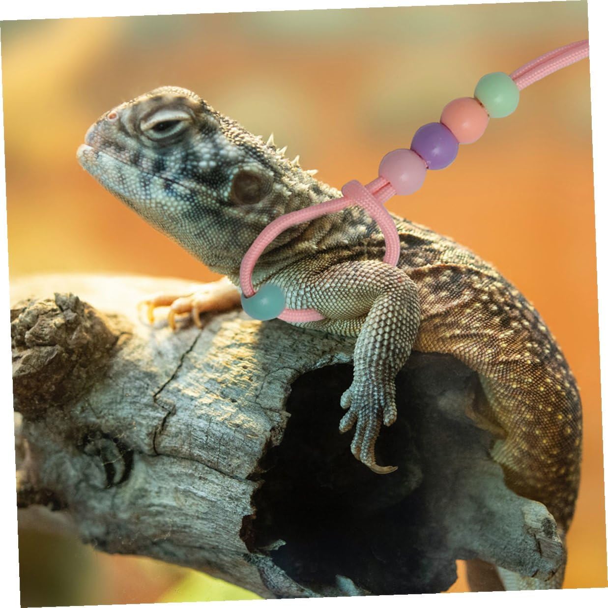 3pcs Glow-in-the-Dark Reptile Harness and Adjustable Lizard Leash Set, Portable Outdoor Walking Leash for Bearded Dragons and Small Pets, Pink