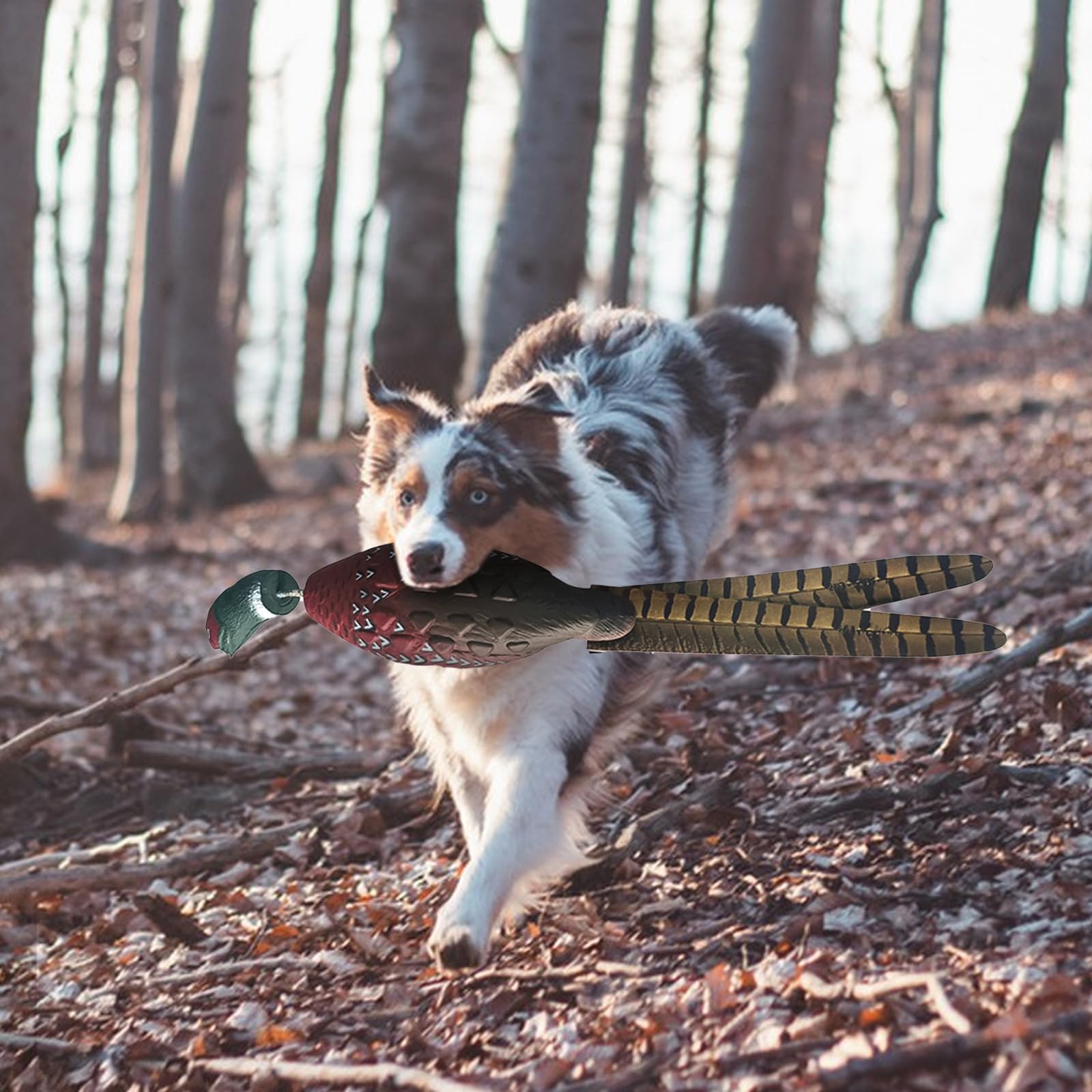 Ente Fasan Taube, Hundetraining, Taubenschnuller für Hundetraining Dummy Bumper Retriever Training Schwimmend De-ad Vogel Fowl Trainer Jagd Retriever Hundetraining Zubehör