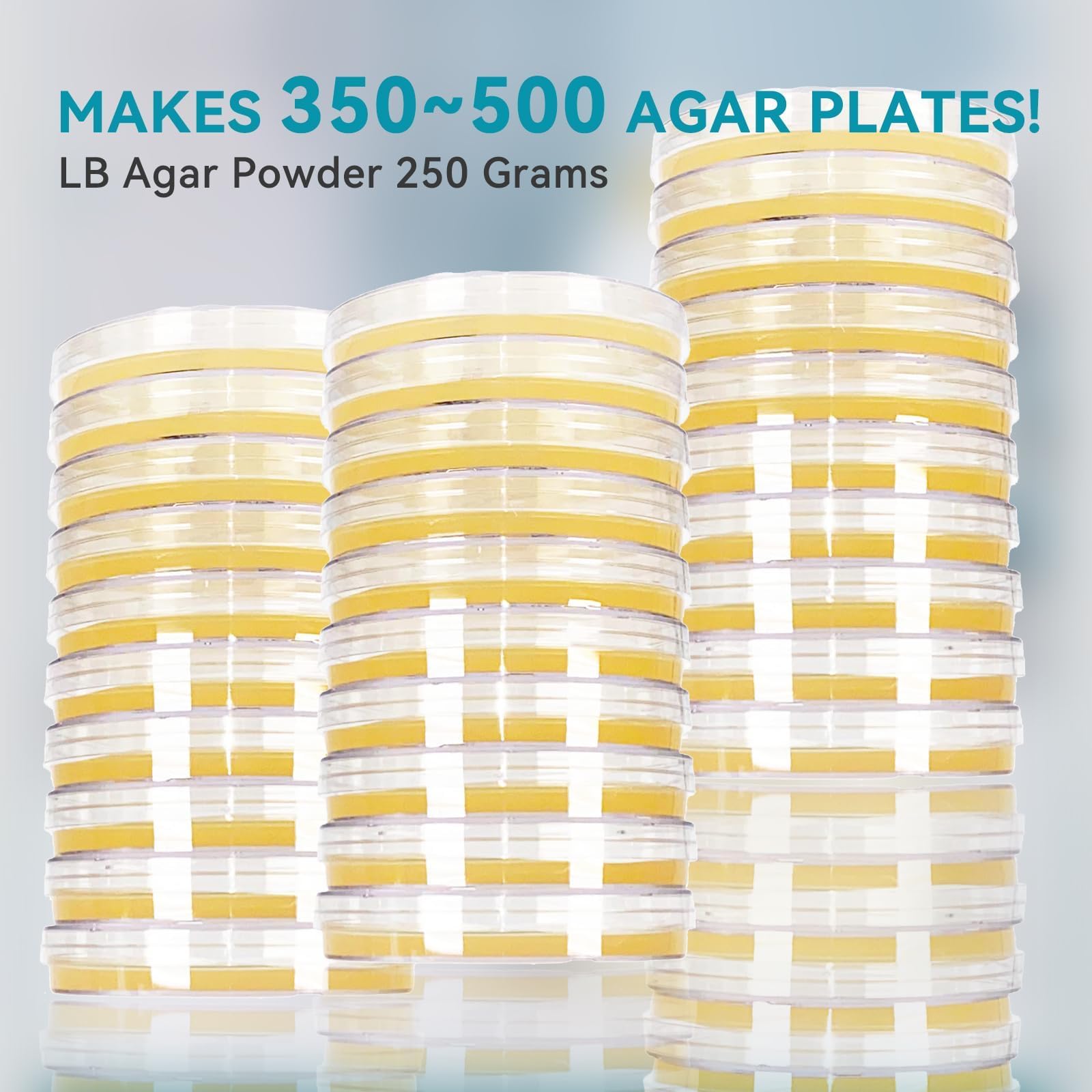 LB Agar Powder 250 g – Fait plus de 350 à 500 boîtes de Petri – Facile à utiliser – Meilleure que la poudre de gélose nutritive pour boîtes de Pétri