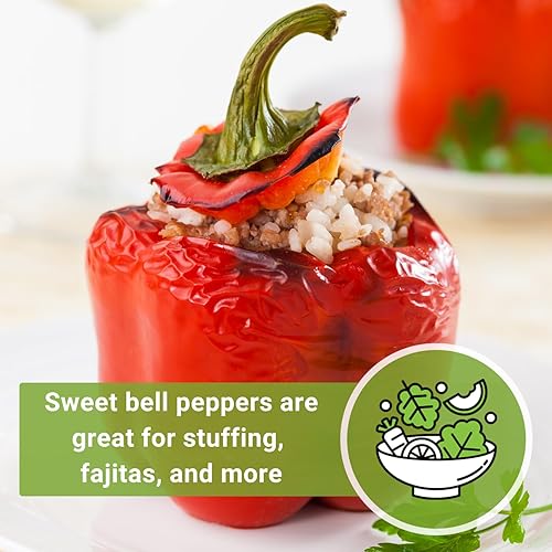 Miniatura 5 de Sow Right Seeds - Semilla de pimiento de California Wonder para plantar - Paquete de reliquia sin OMG con instrucciones para plantar un huerto en el