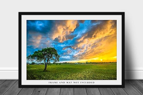 Miniatura 3 de Sky Photography Print (Not Framed) Picture of Colorful Storm Clouds Over Lone Tree at Sunset on Stormy Evening in Texas Country Wall Art Nature