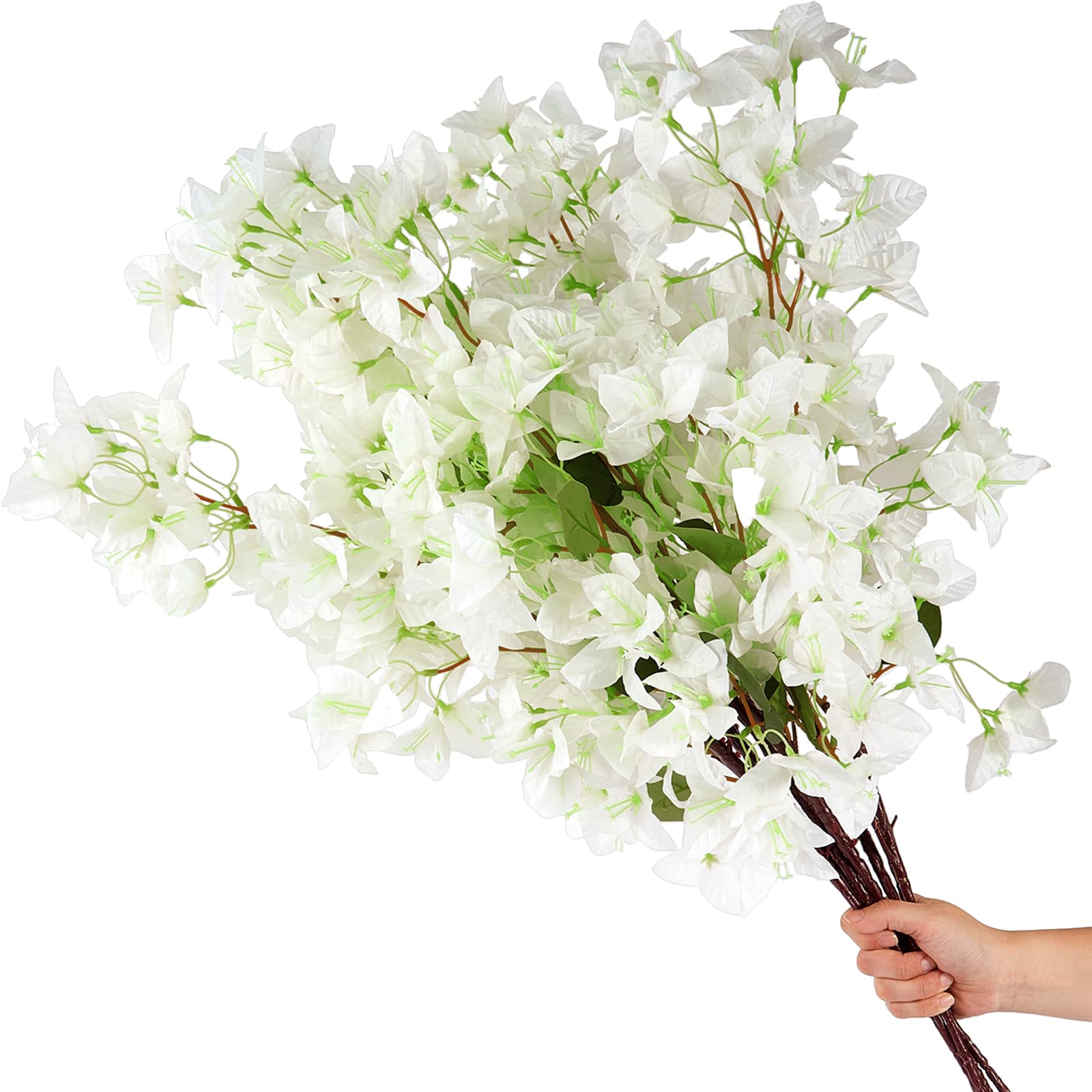 product_img5