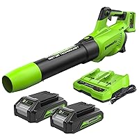 Greenworks Tools 48V(24V x 2）Soffiatore Assiale a Batteria, Ioni di Litio Velocità)