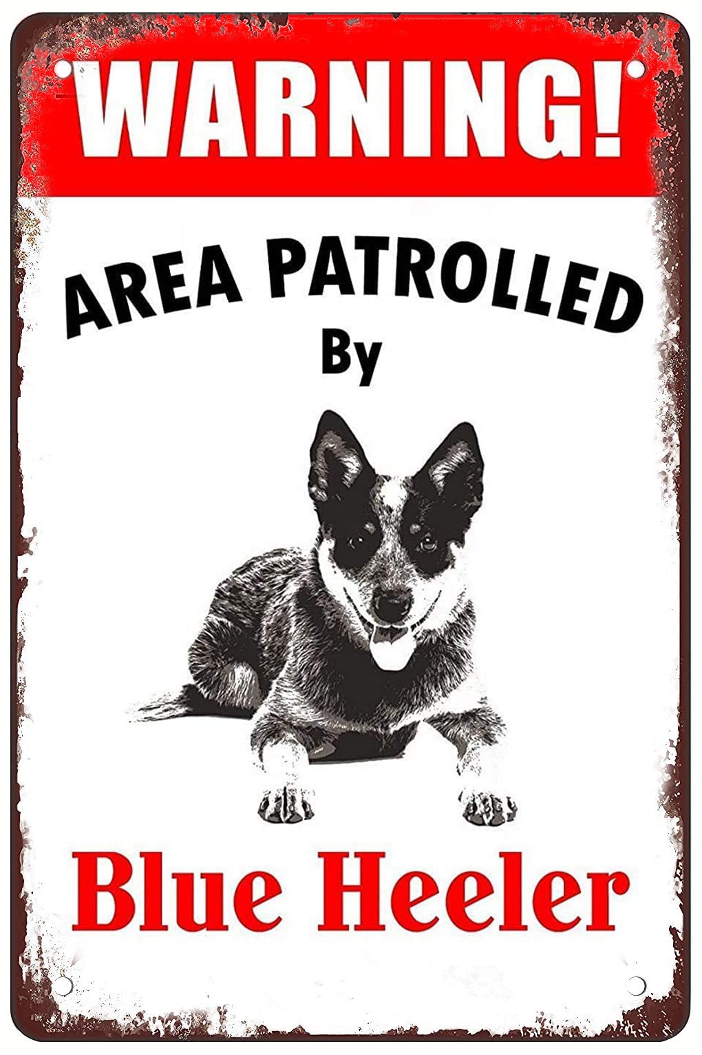Vintage Metal Tin Sign Retro Funny Sheet S Warning Area Patrolled By Blue Heeler Dog For Men Women Wall Decor For Bars Restaurants Cafes Pubs 8x12 Inch Custom Private Property Signs Outdoor