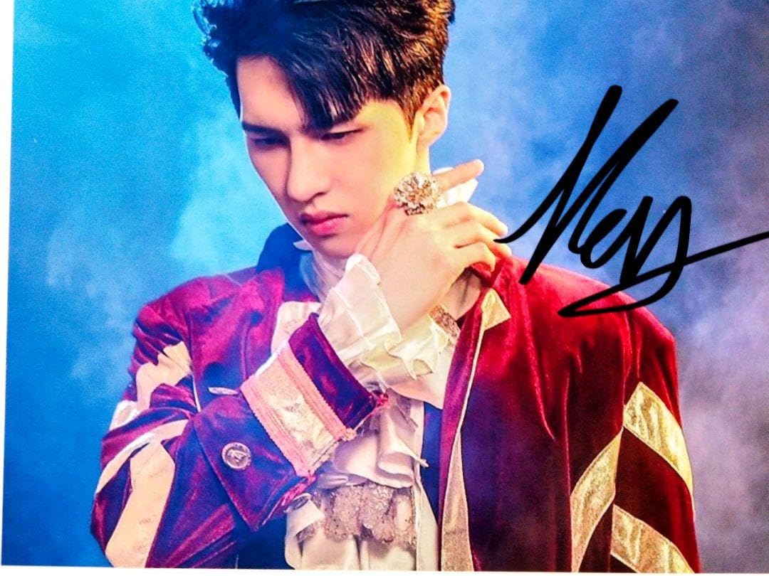 Amazon.co.jp: ケン直筆サイン入り2Lサイズフォト KEN VIXX : おもちゃ