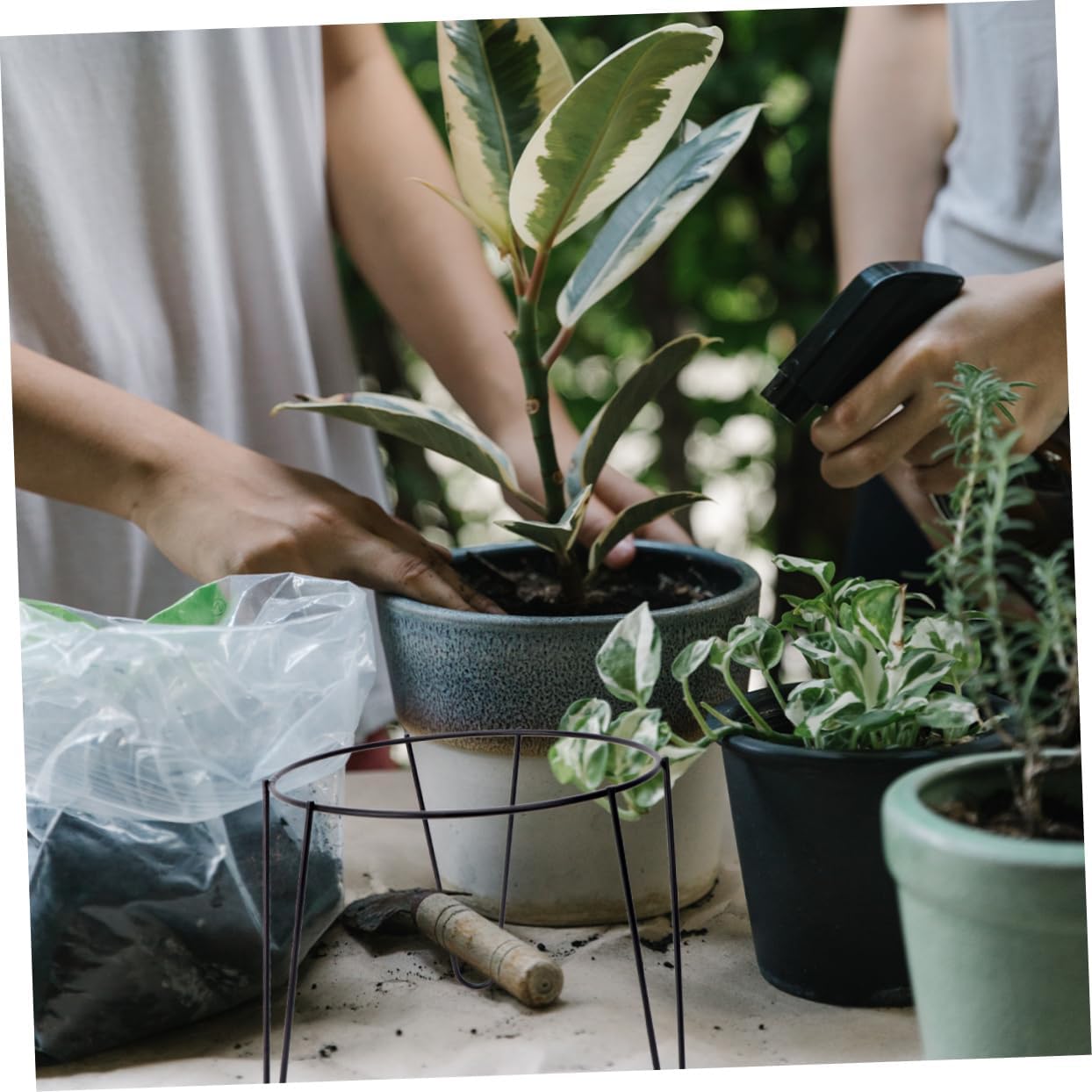 Tiered Plant Stand Indoor Flower Shelf Black Corner Plant Stands for Home Decor