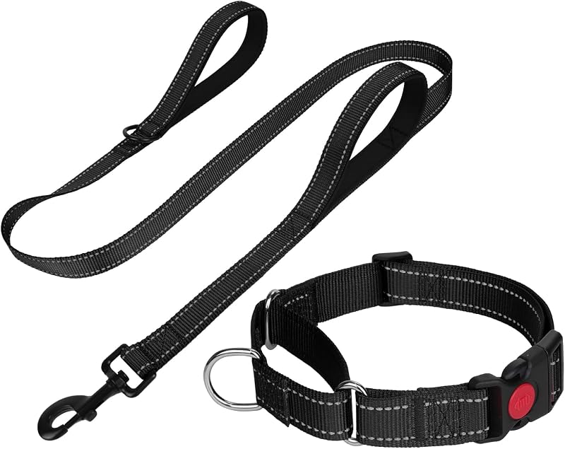 Coleira Martingale com Guia para Cães Pequenos FunTags, Fivela com Trava e Detalhes Refletivos