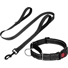 FunTags Reflective Black Martingale Collar 12.5"-16" & Leash 5ft x 1" for Small Dog, Escape-Proof with 2 Handles, Safe Night Walks, Durable Nylon, Quick-Release Buckle