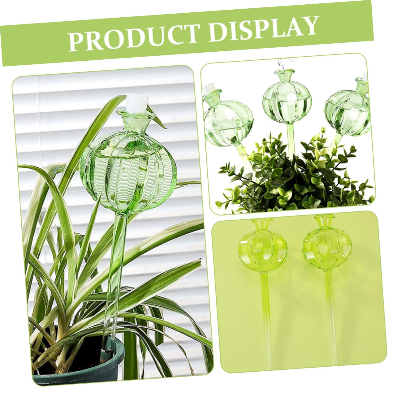 Globe D'arrosage Cactus en Verre Transparent, Arrosage Automatique