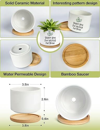 Miniatura 4 de Thank You for Helping Me Grow - Divertidas macetas pequeñas de cerámica para suculentas, macetas de interior con bandeja de bambú, regalos de