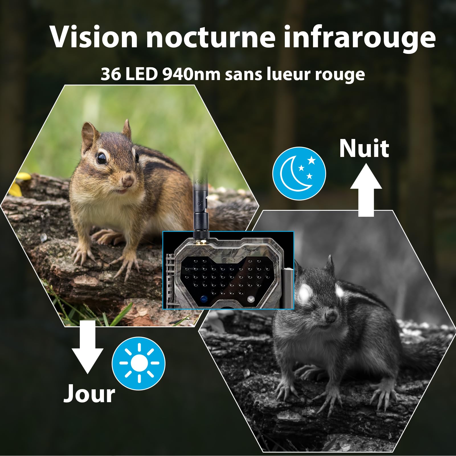 Meidase S970 4G LTE Caméra de Chasse, 48MP 1296P, avec Fonction de Streaming en Direct, Vision Nocturne, Activation par Mouvement 0.1s, Étanche, Transfert d Application, GPS Localisation