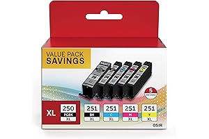 Canon 250 PGBK XL Ink Cartridge - Value Pack