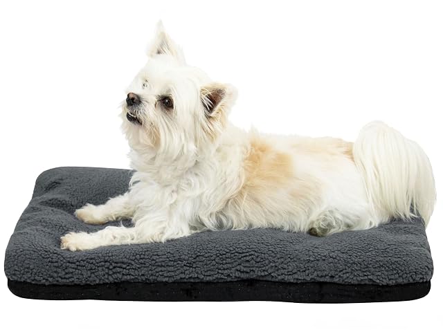 ZOLLNER Cama Extra Suave para Perros y Gatos - Lavable hasta 30°C - Nudos Antideslizantes - Aprox. 40x60 cm