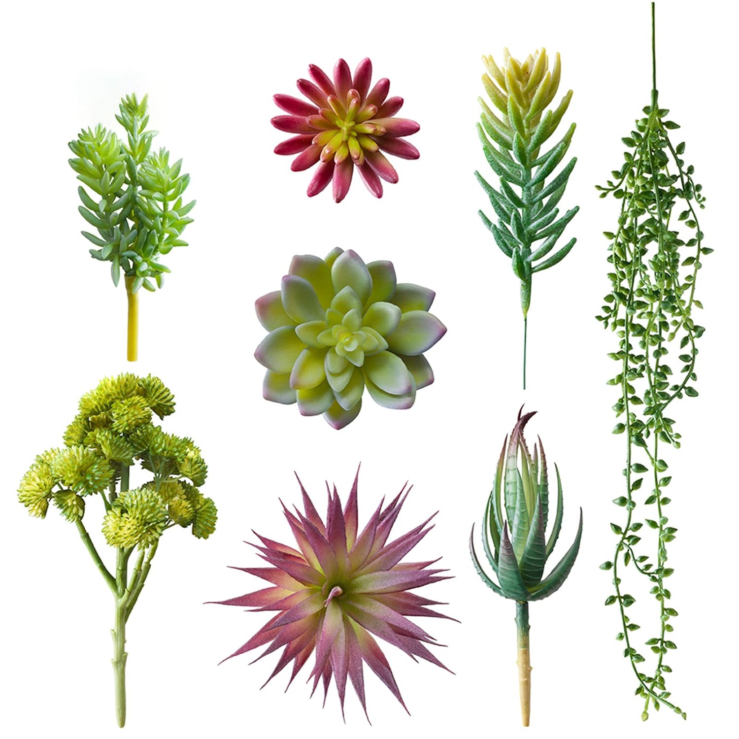 Buy Magbeauty Succulents Artificial Unpotted Mini Assorted Realistic