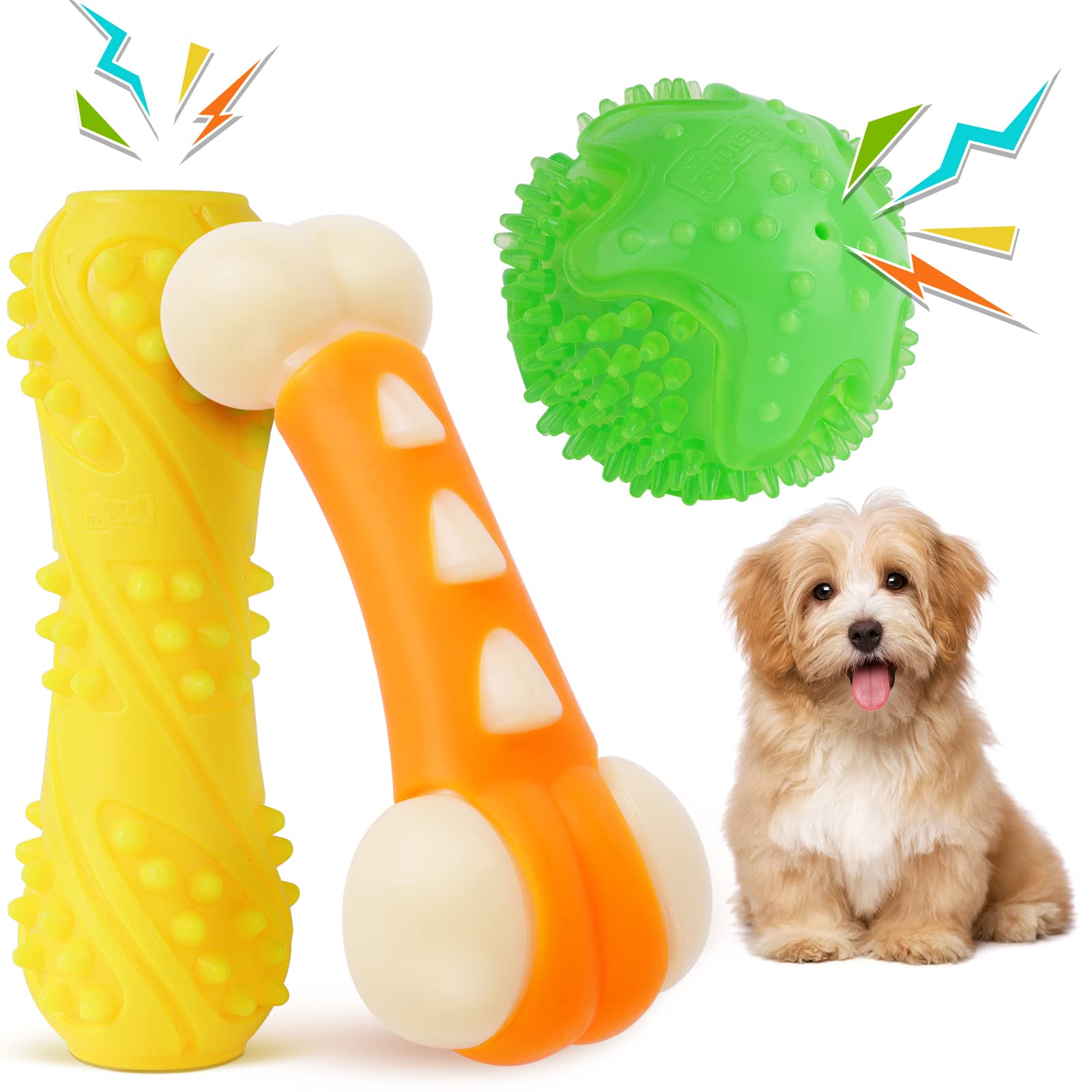 Why Do Dogs Go Crazy Over Bones