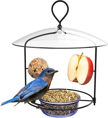 Nature's Way BBFM1 Bluebird Buffet Metal Bird Feeder with Protective
