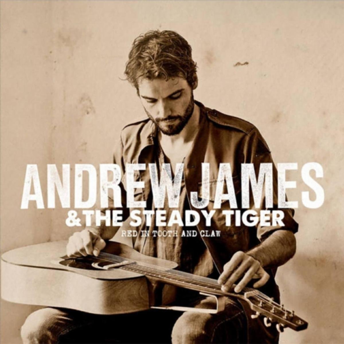 Andrew James & The Steady Tiger