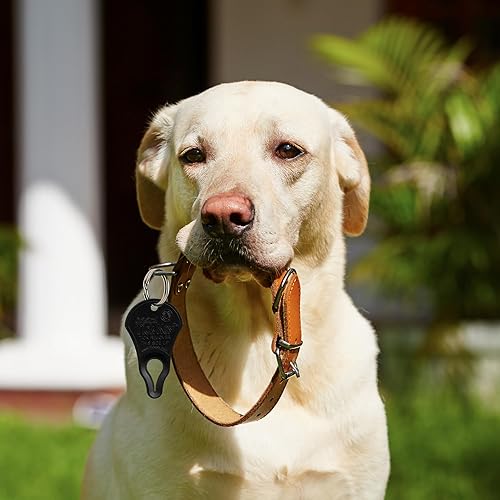 Miniatura 4 de The Original Tick Key - Dispositivo de separación de garrapatas - Herramienta portátil, segura y altamente efectiva para separar garrapatas (negro)