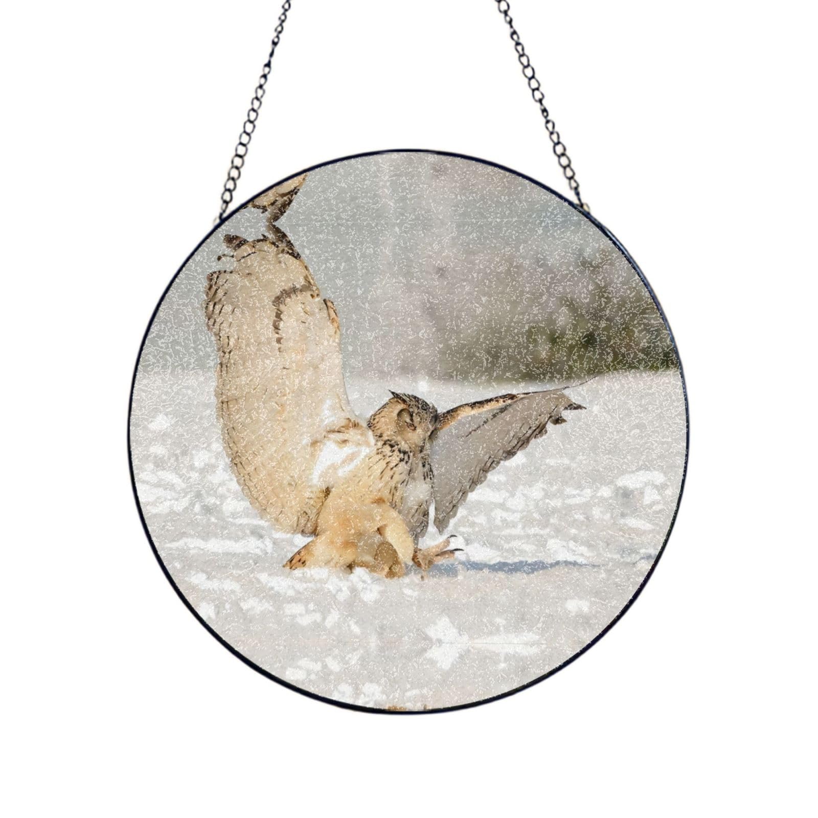 Phayah Flying Owl Print Glass Window Hanging Sun Catchers Suncatcher Decor For Birthday For Home Garden Porch 12in（30cm）