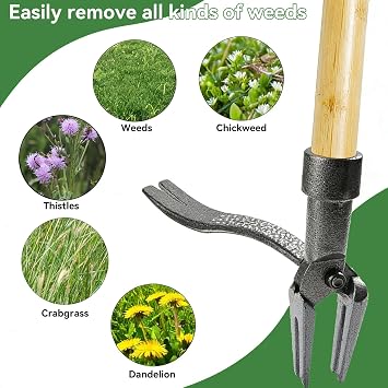 Weed Puller, 113cm/45inch Long Handle Weed Remover Tool, Standing Weeder with 3-sections Bamboo Handle and 4 Carbon Steel Claws for Patio, Lawn, Garden, Path