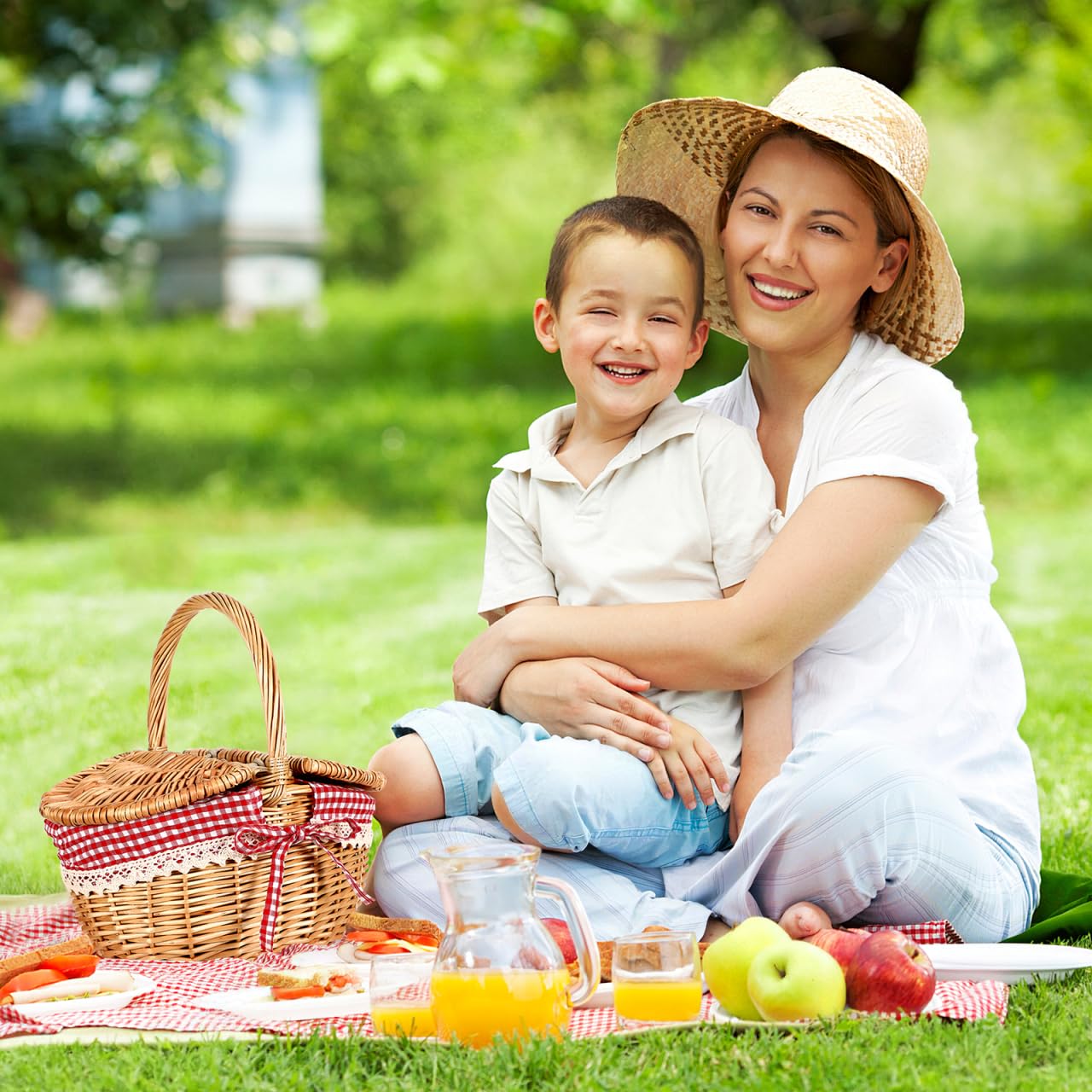 Alipis Cestino Da Picnic Vimini Con Doppio Coperchio Manico Portatile 5X7X5 Pollici Cesto Intrecciato Per Conservazione Alimenti E Accessori Esterni Casa