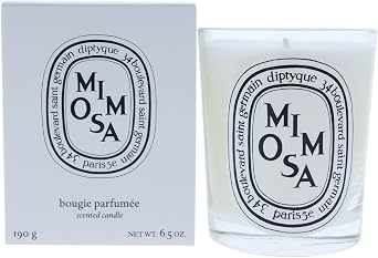 Diptyque Papier Classic Candle - Thumbnail 3