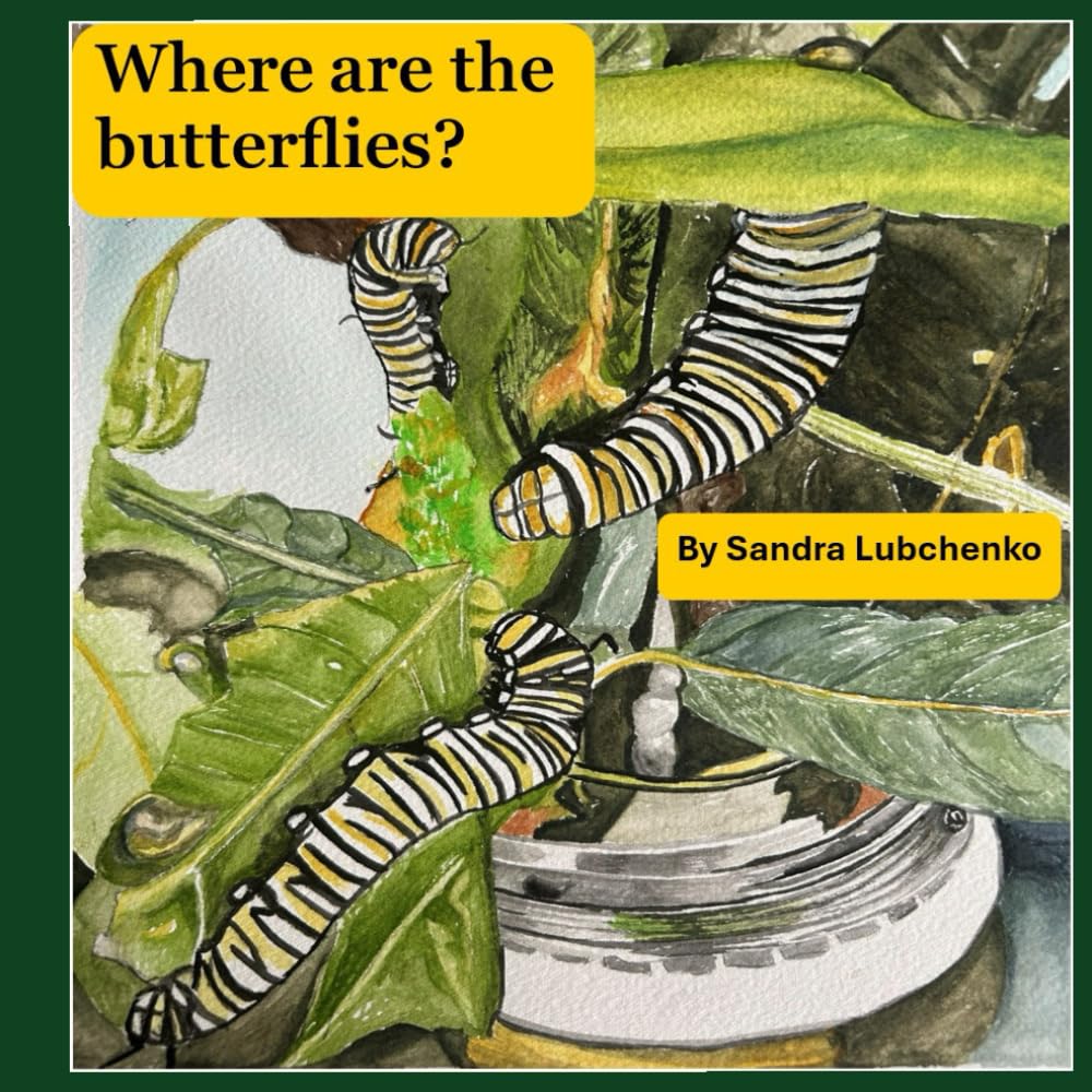 Where are the Butterflies?