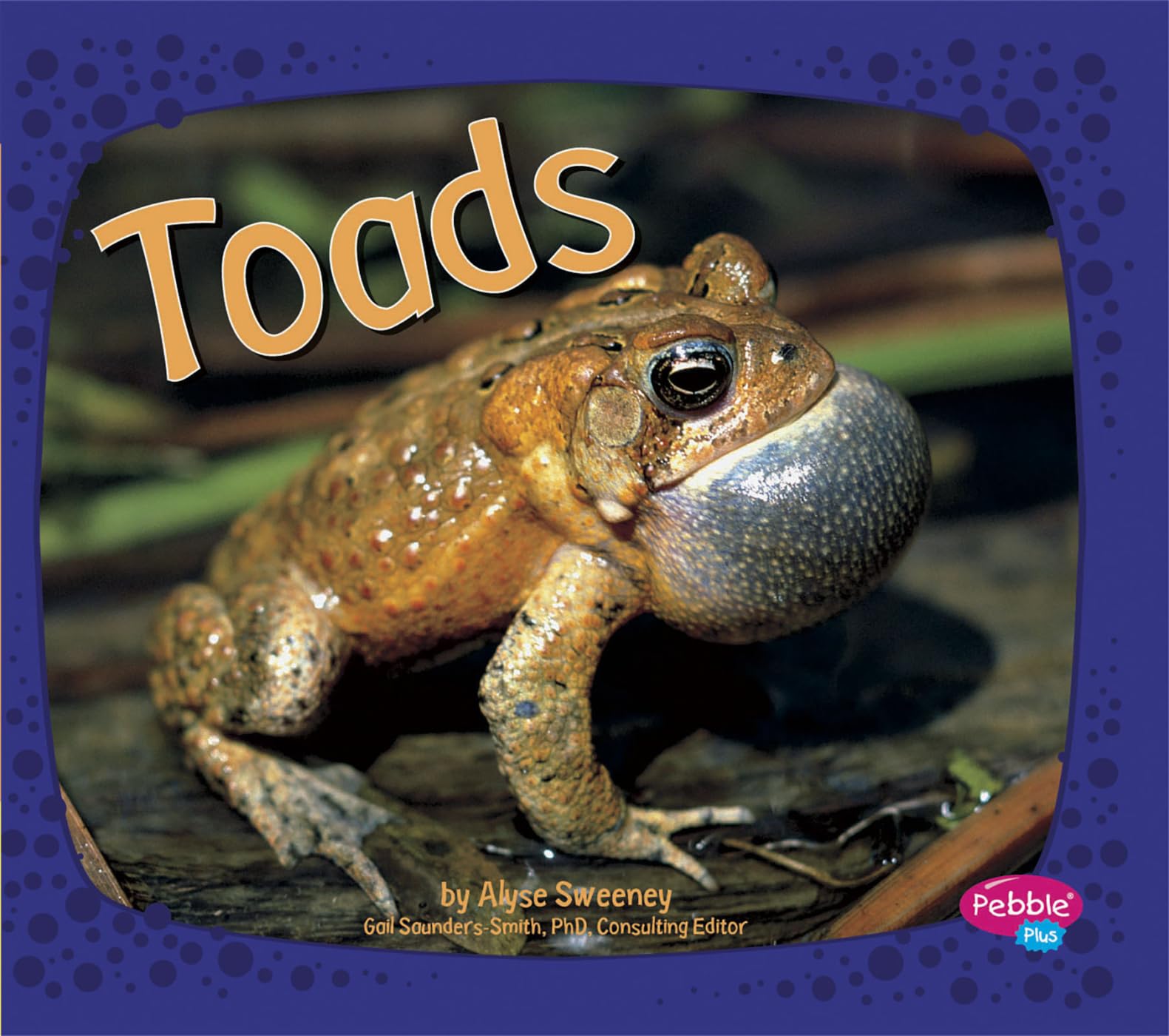 Toads (Pebble Plus: Amphibians)