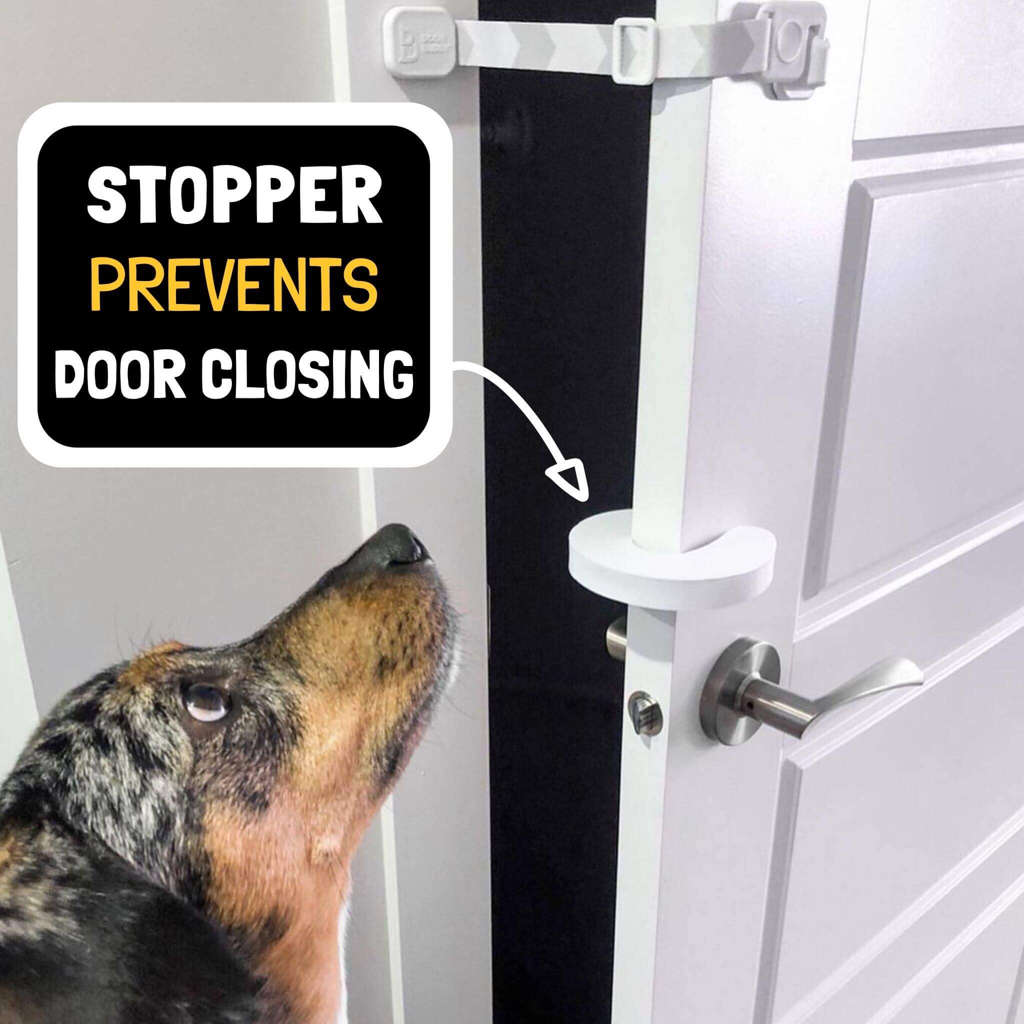 Buy Door Buddy Door Latch Plus Door Stopper. Keep Dog Out of Litter Box