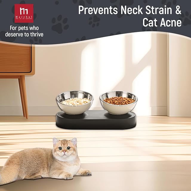 Foto 5 de 7 de Marchul Cuencos para gatos con soporte inclinado 15°, cuencos elevados de acero inoxidable para gatos