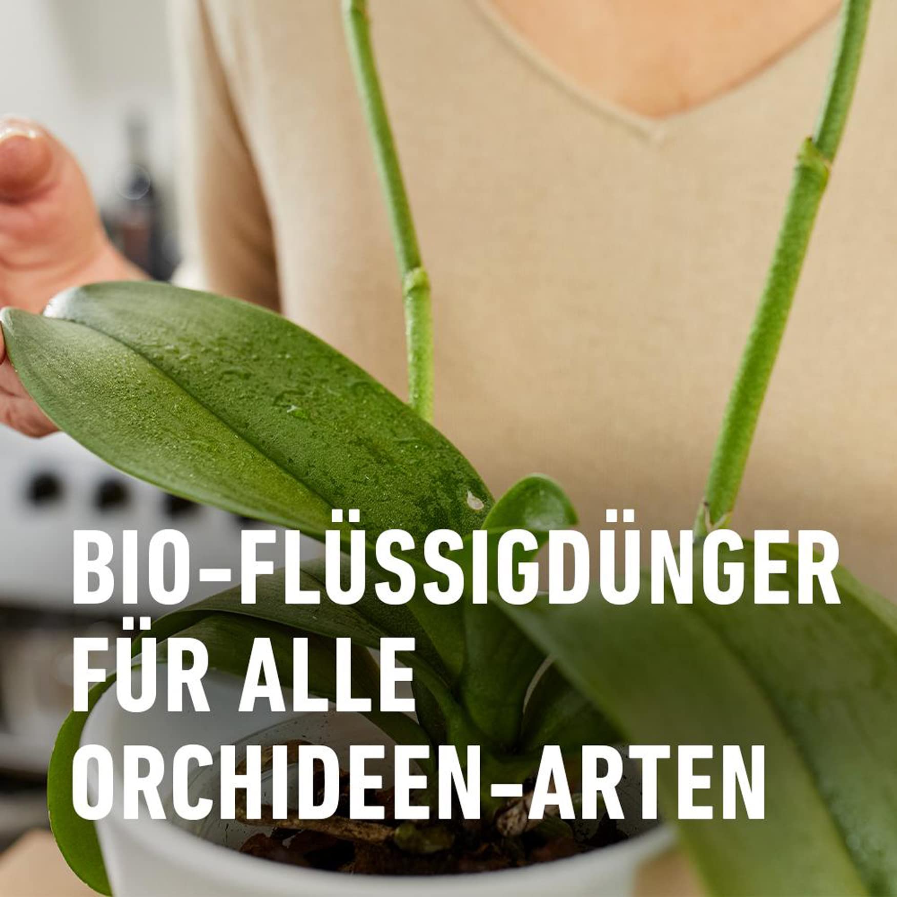 aloe heat lotion anwendungsgebiete Aloe Heat Lotion (4 fl.oz) – Alternative Shop Online