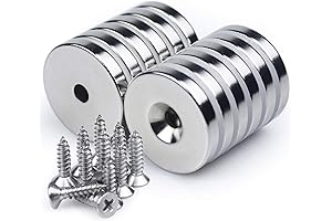 LOVIMAG Super Strong Neodymium Countersunk Hole Magnets